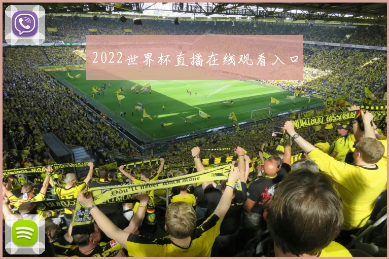 2022世界杯直播在线观看入口