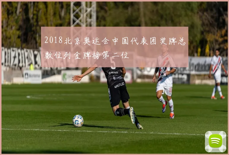 2018北京奥运会中国代表团奖牌总数位列金牌榜第二位