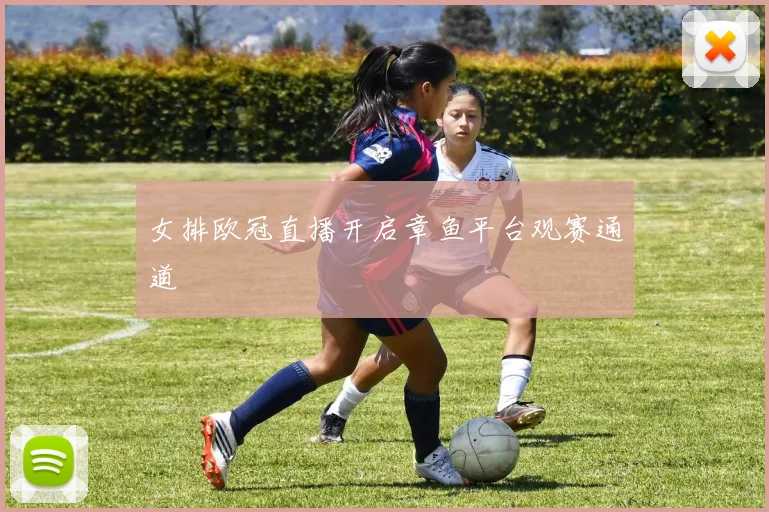 女排欧冠直播开启章鱼平台观赛通道