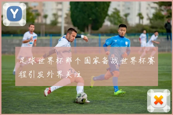 足球世界杯那个国家备战世界杯赛程引发外界关注
